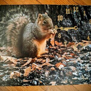 squirrel clock